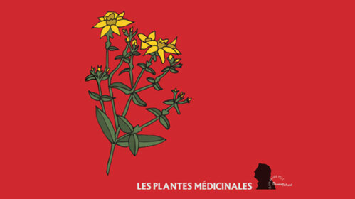 Jeu Les Plantes médicinales