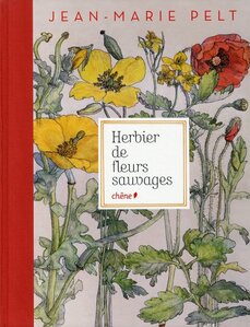 2009 : Herbier de fleurs sauvages