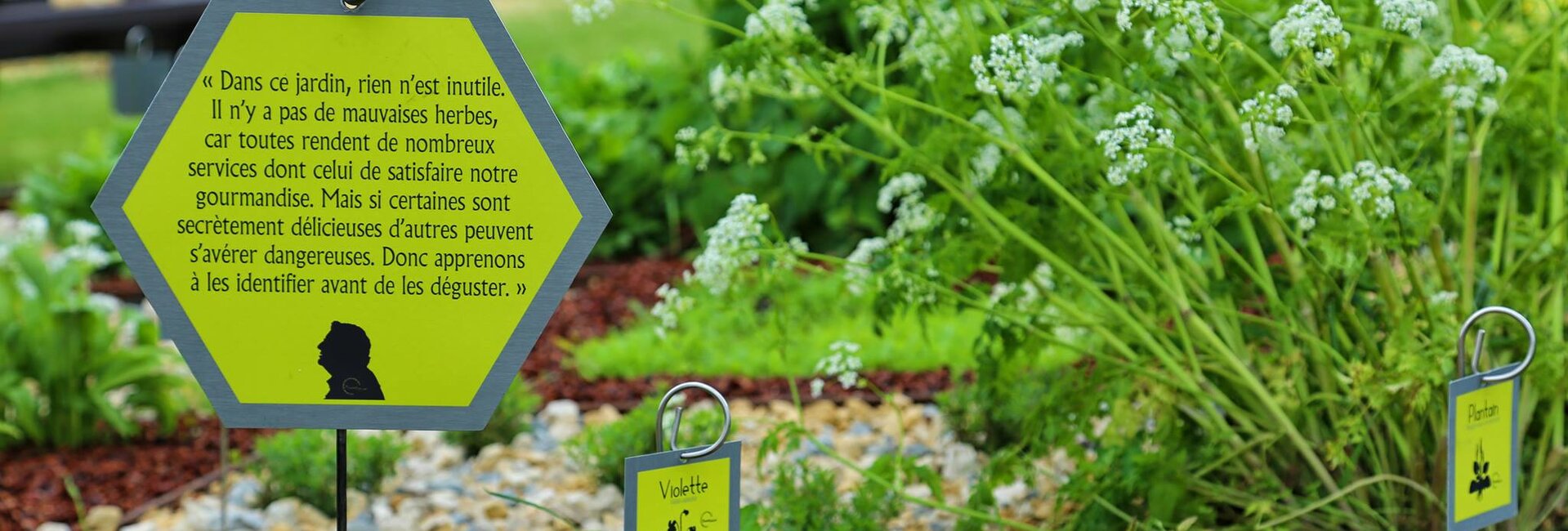 Les jardins partagés du Musée Naturel Jean-Marie Pelt