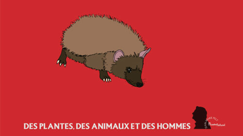 Jeu Des plantes, des animaux et des hommes