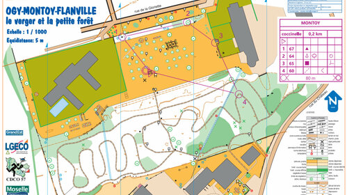 Circuit Coccinelle