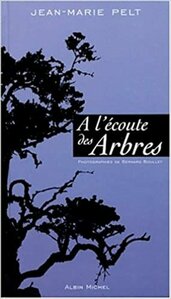 2000 : A l'écoute des arbres