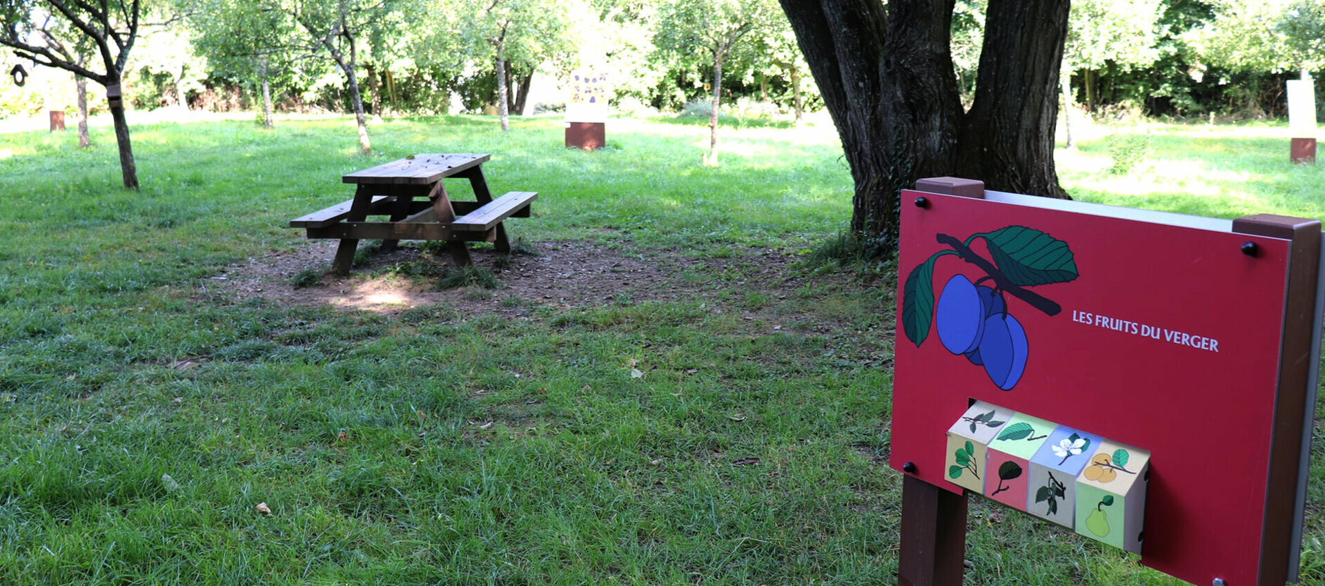 Musée Naturel Jean-Marie Pelt Jardin Nature Pédagogie